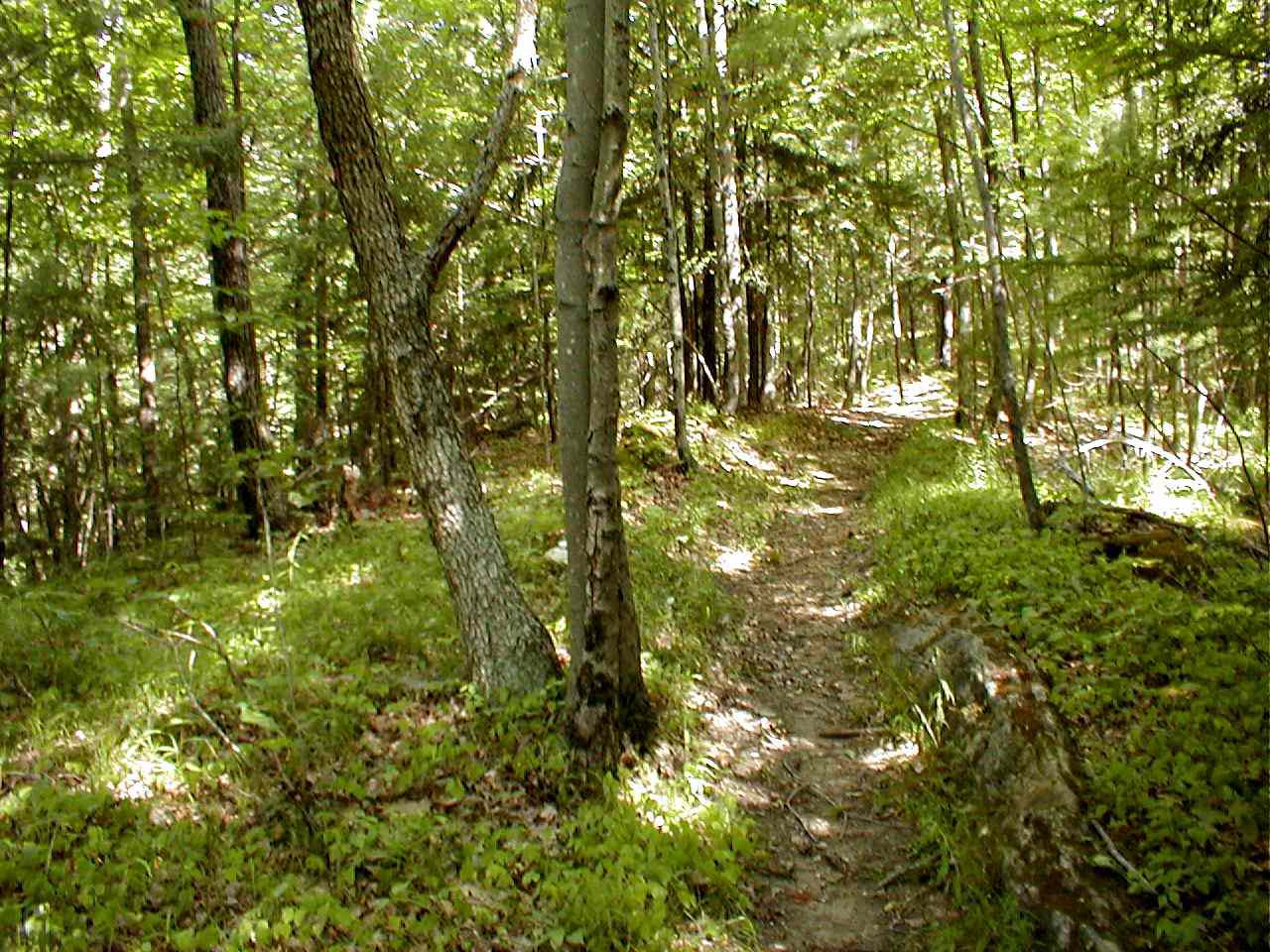 Sheffield Land Trust Outreach & Education